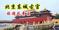 摸逼免费观看中国北京-东城古宫旅游风景区